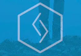 The Freelancer's Guide
