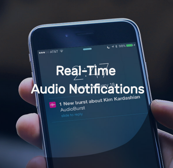 Audioburst gallery image