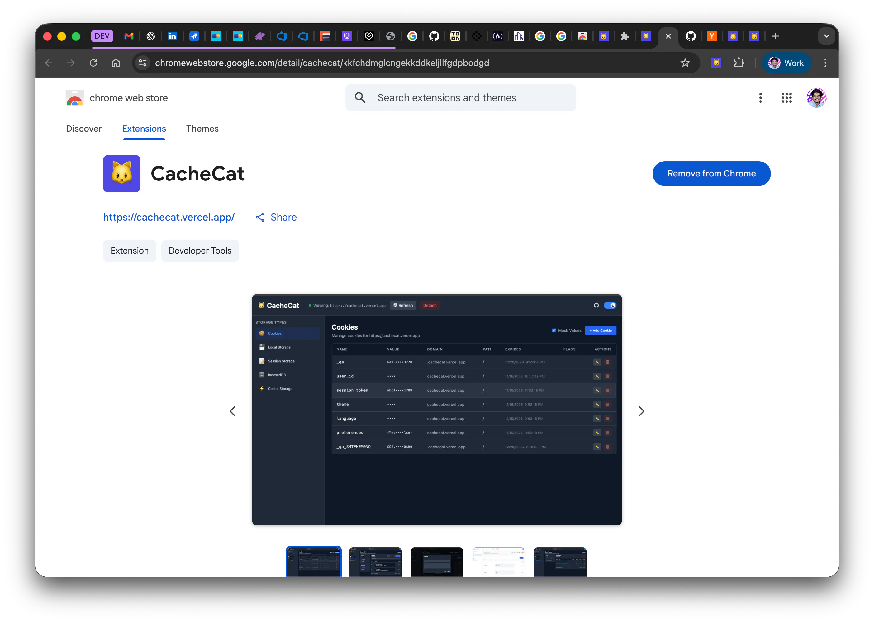 CacheCat gallery image