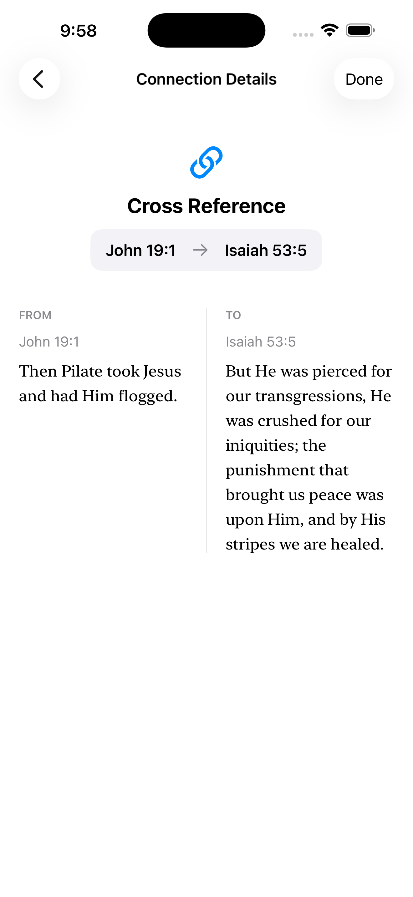 Rooted Word - Screenshot 2 showing product features and functionality