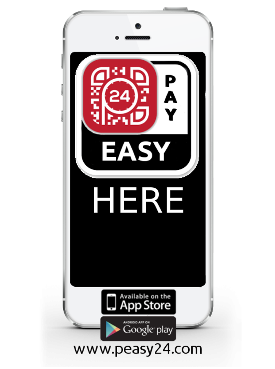 Peasy24 Easy payment fast and secure for Europe starting in Germany, Netherlands and Belgium