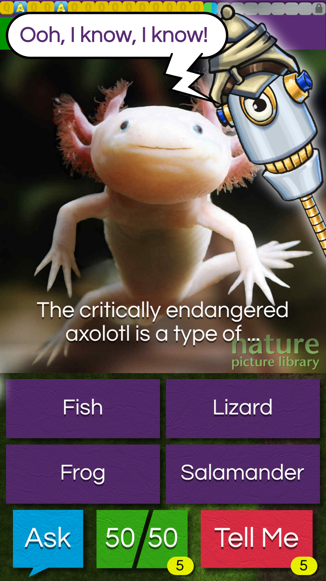 QuizTix: Animal Pics gallery image