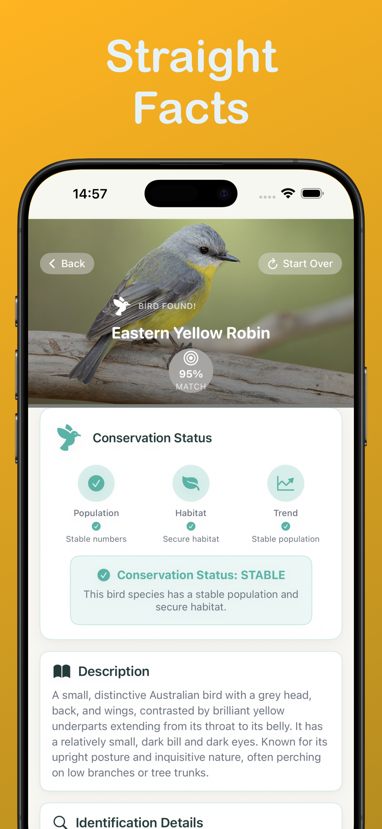 Media Bird Identifier: Cikcik - Identify any bird you want with audio & image 3