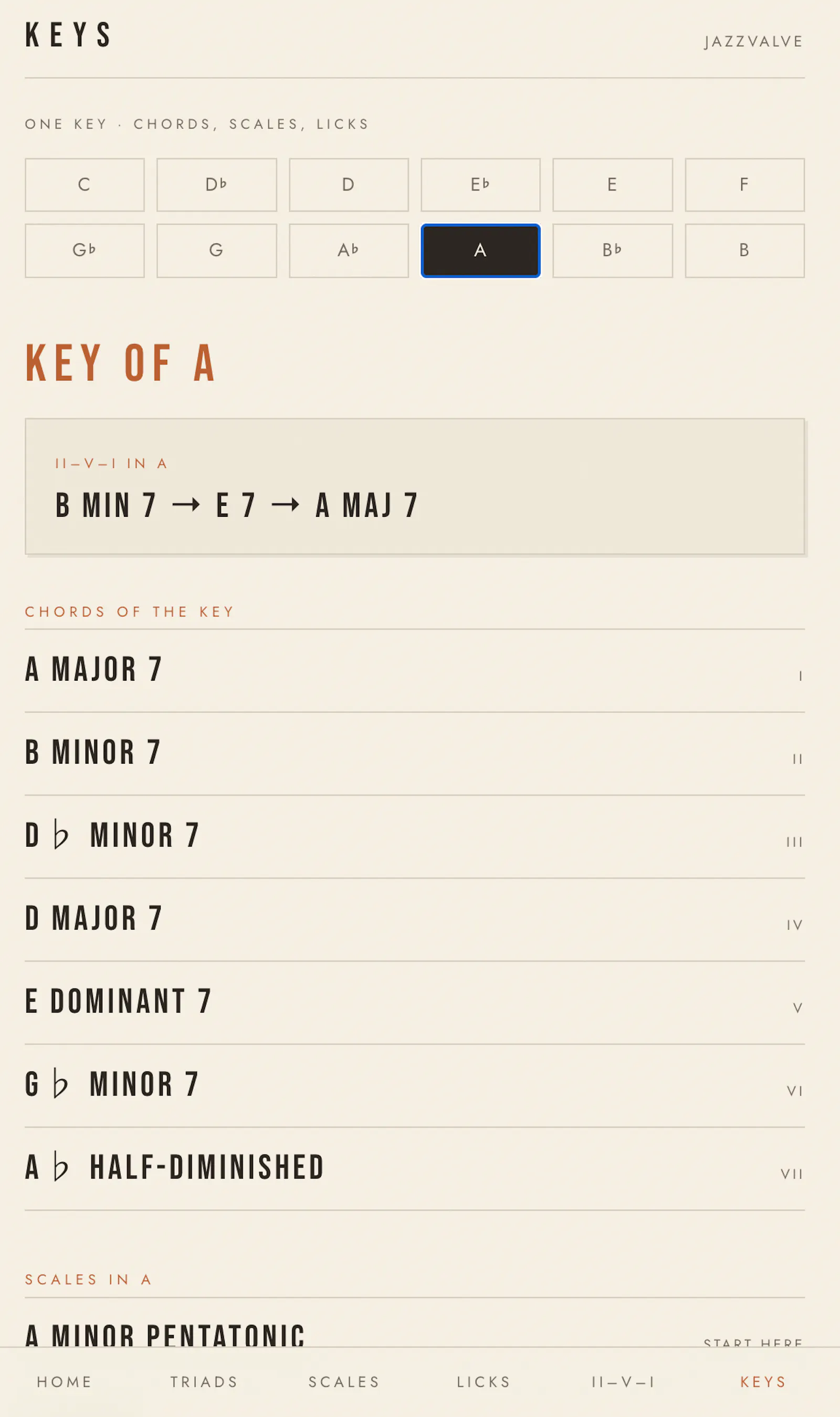 JazzValve  screenshot 6