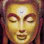 Mindful Humans