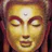 Mindful Humans
