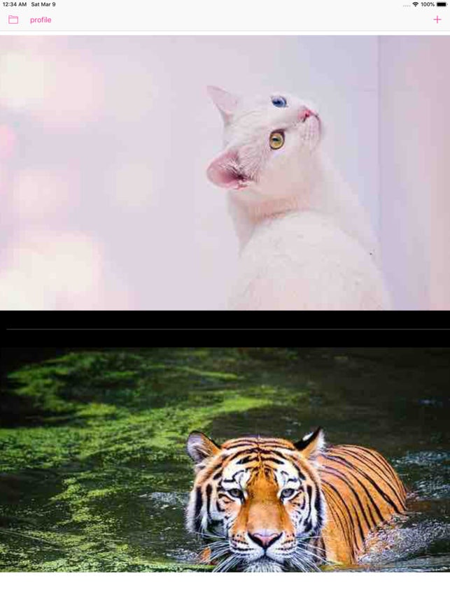 remoCards gallery image