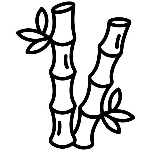 Bamboo