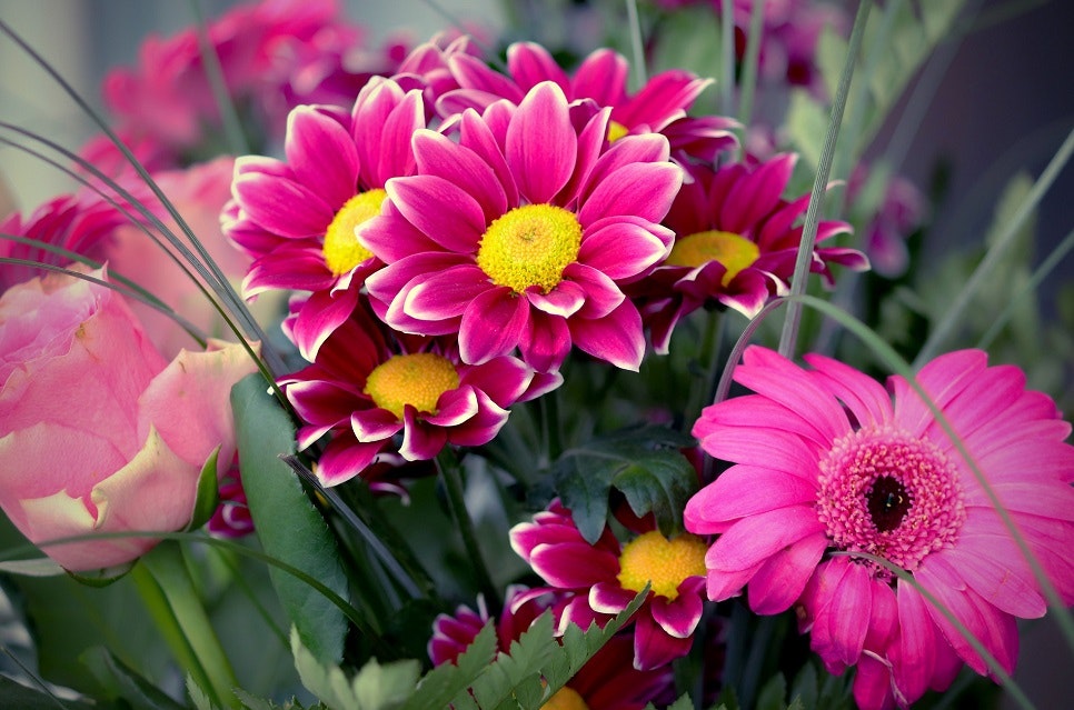 Flower Delivery in Bangalore gallery image