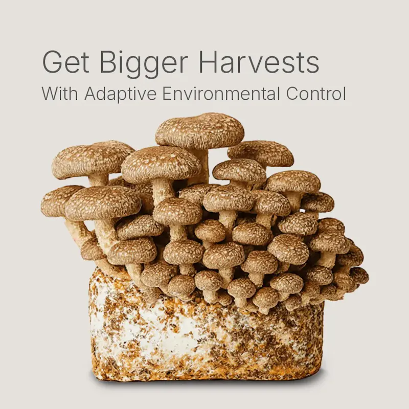 Lykyn Smart Mushroom Grow Box screenshot 15