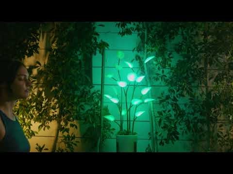 Fluora Mini gallery image