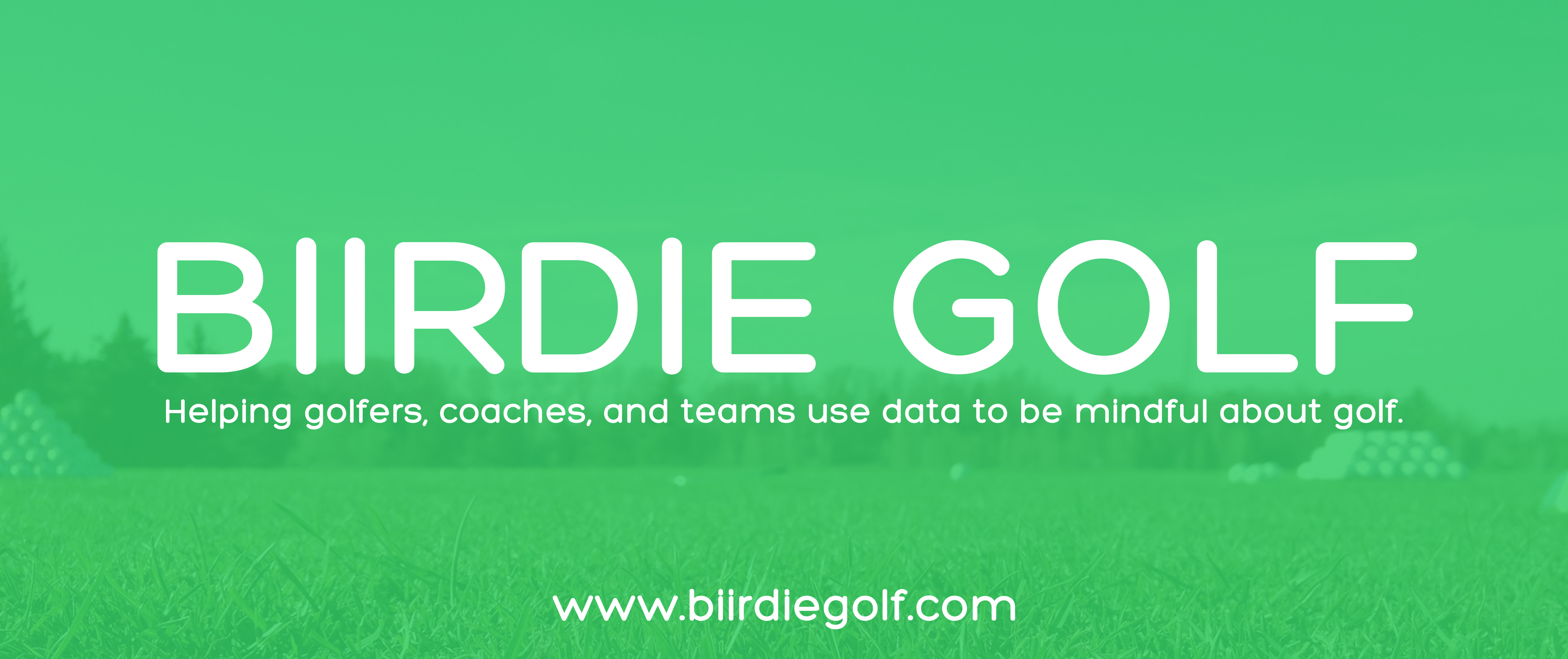 BIIRDIE GOLF gallery image