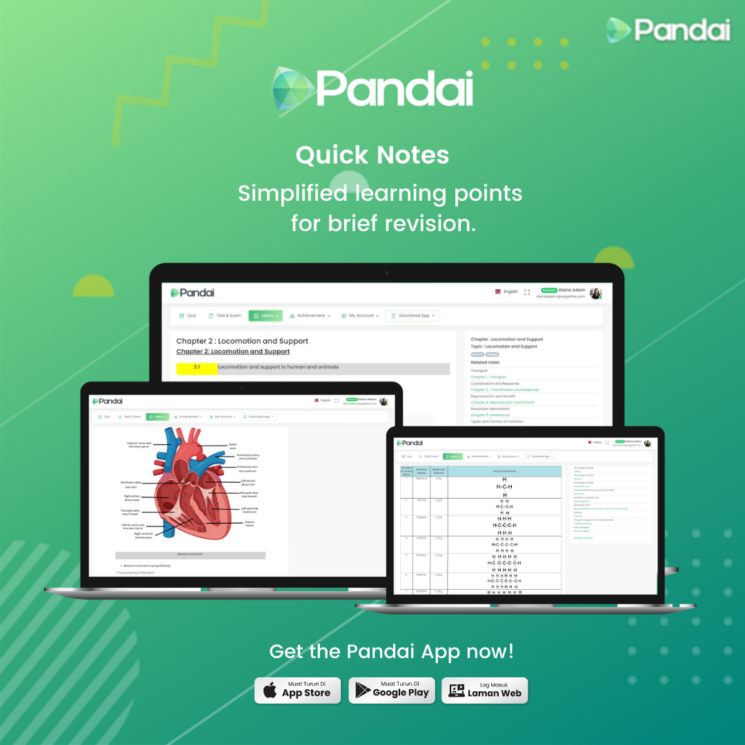 Pandai gallery image