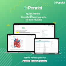 Pandai gallery image