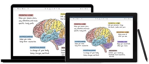 Noteshelf gallery image