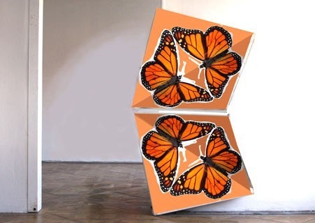 Evolution Door gallery image