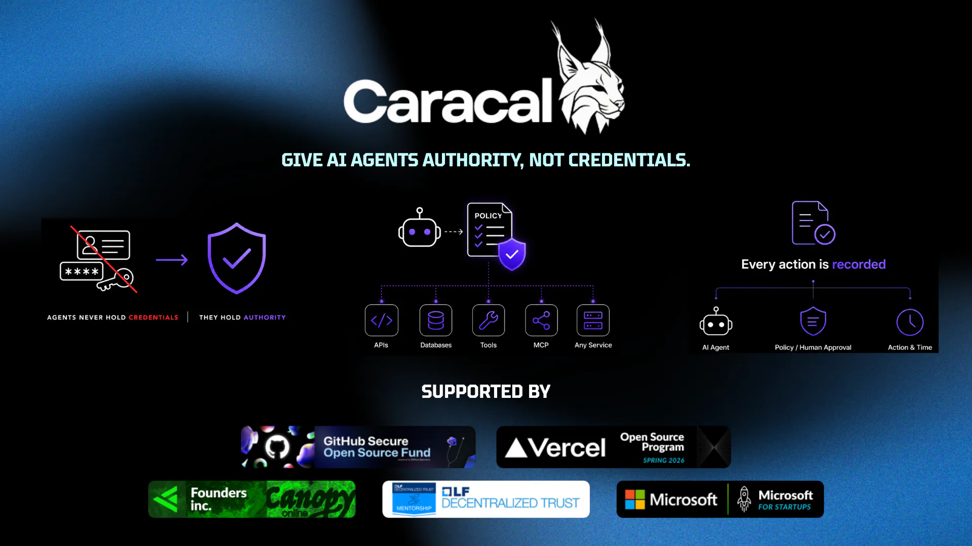 Caracal gallery image