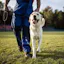 Dog Bite Safety for Veterinarians