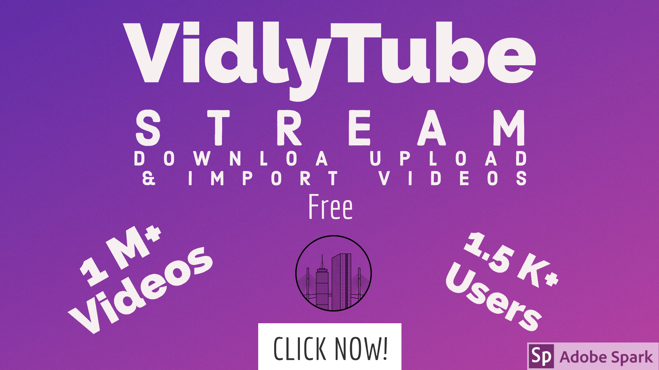 VidlyTube gallery image
