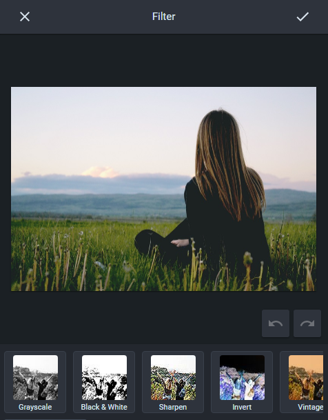 Pixi Image Editor gallery image