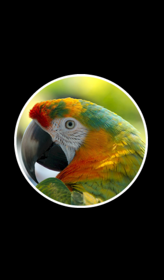 22 Clues gallery image