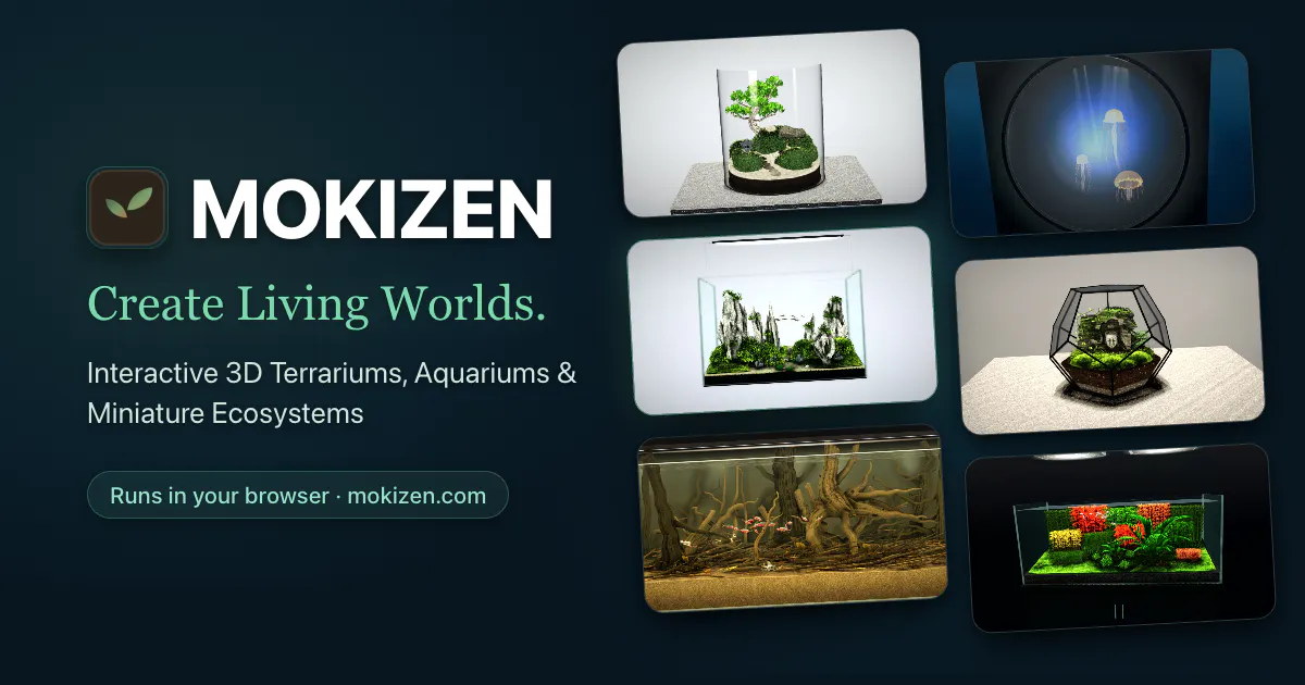 MOKIZEN gallery image