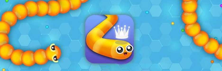 Snakeio.Net gallery image
