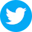 Twitter Video Downloader