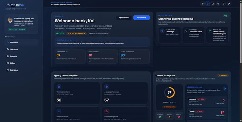SitePulse screenshot 2