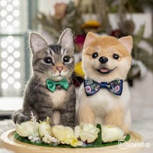 Custom Needle Wool Felt Pet Portrait gallery image