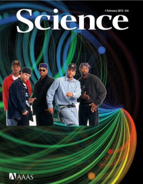 Cite the Funky Bunch gallery image