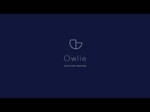 Owlie gallery image