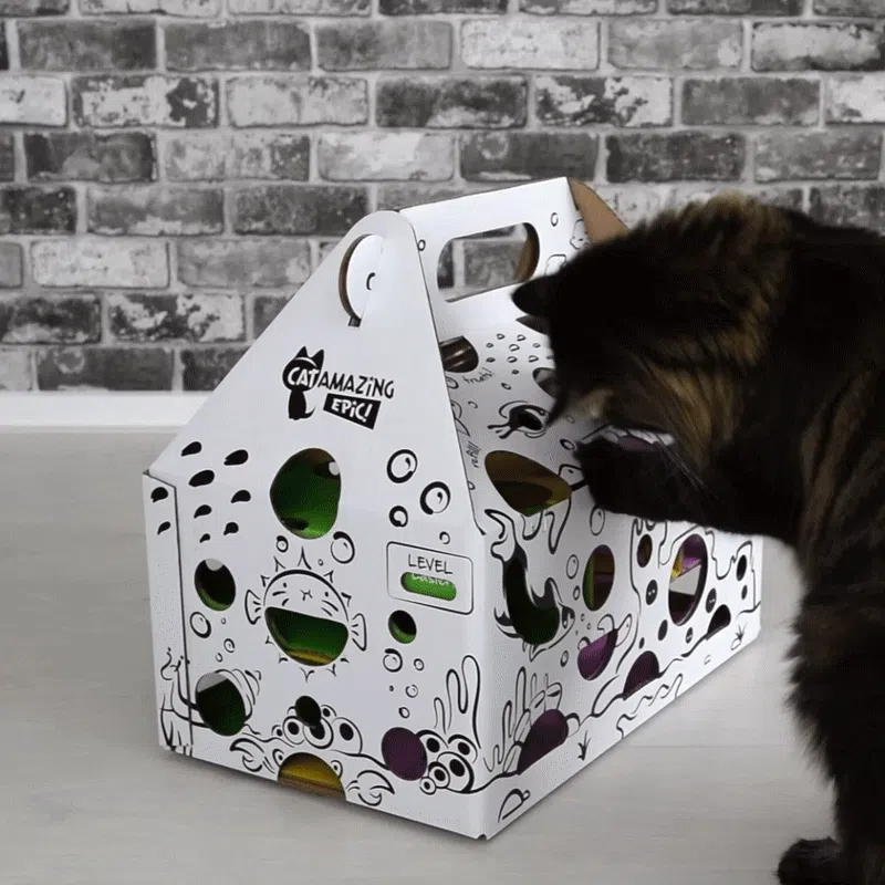 Cat Amazing