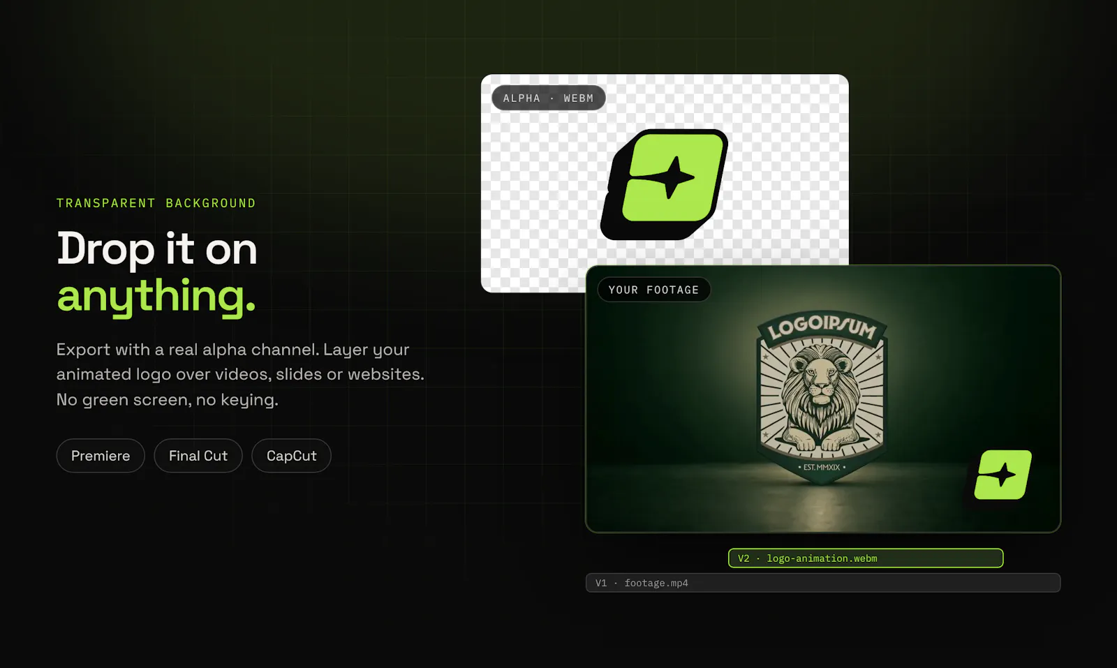 Logo Animation AI screenshot 4