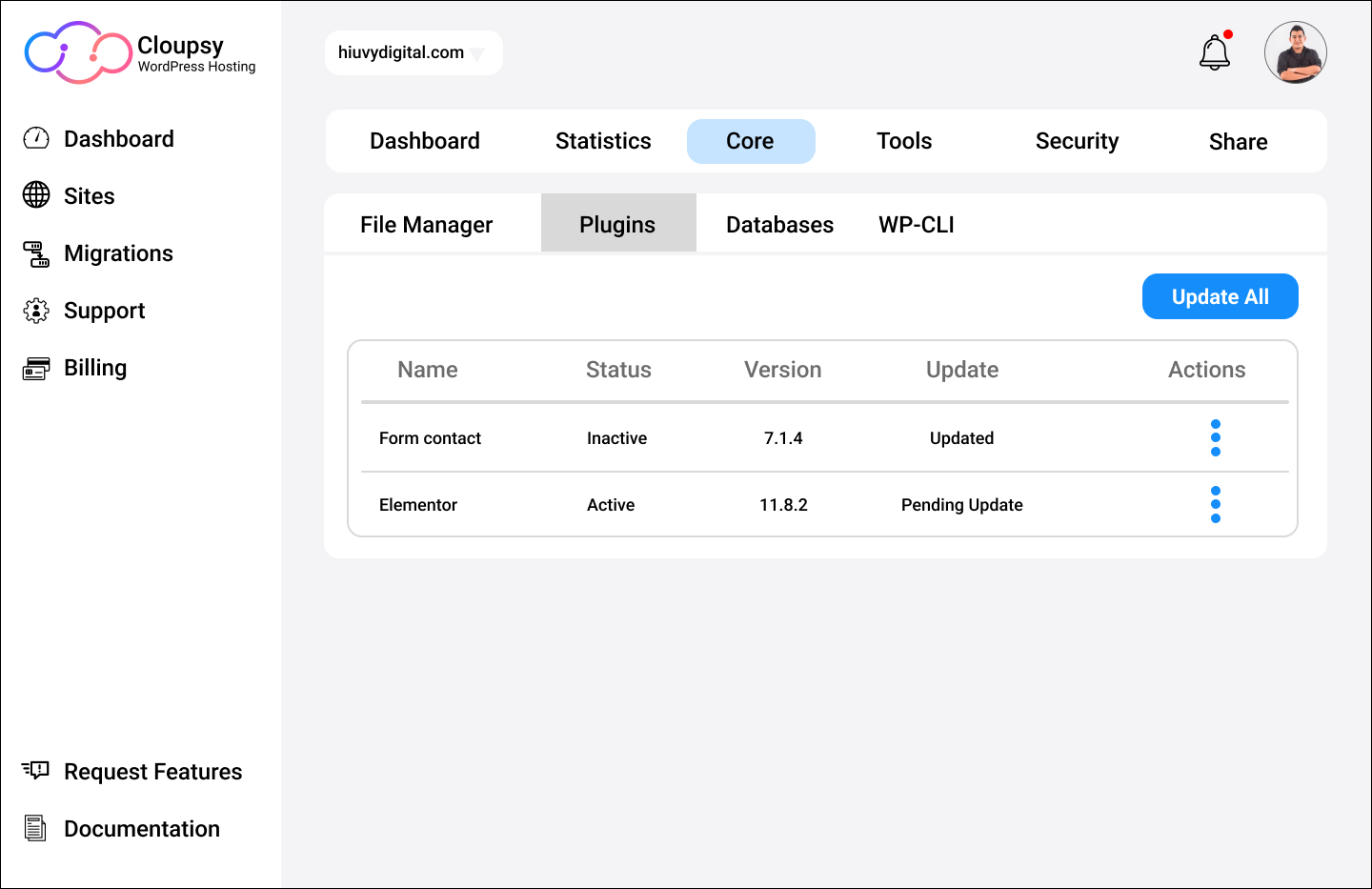 Cloupsy WordPress Hosting media 5