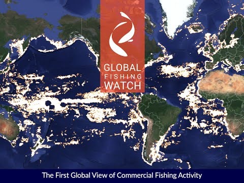 Global Fishing Watch gallery image