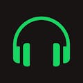 MusicView
