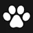 PawsPlay