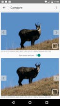 Photo Compare gallery image