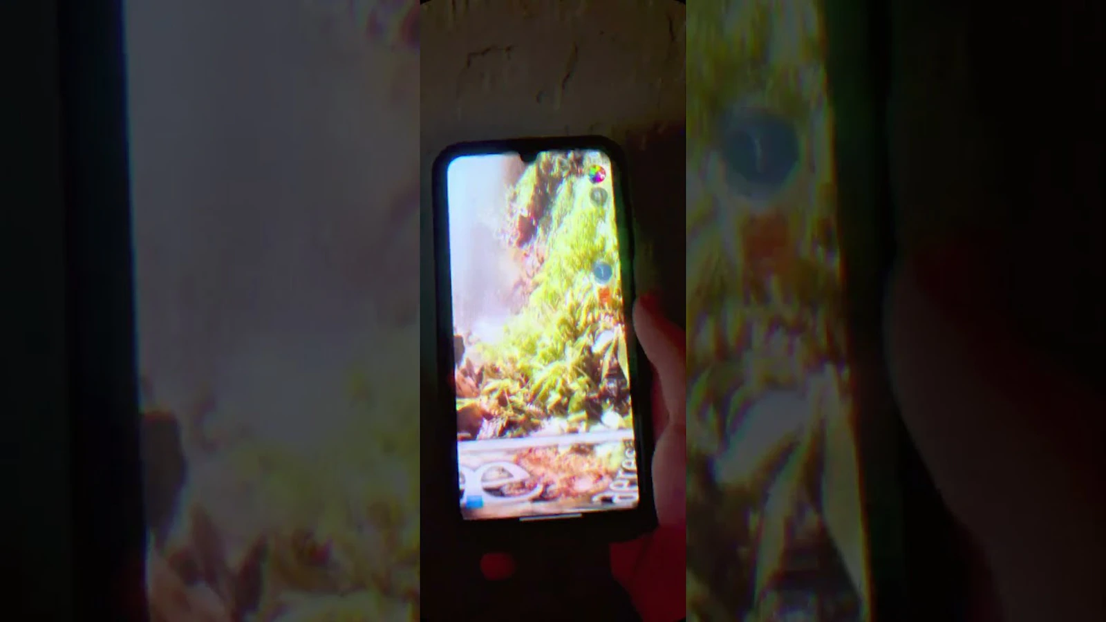 2-P — World's First 360° Social Media screenshot 1 (video preview)