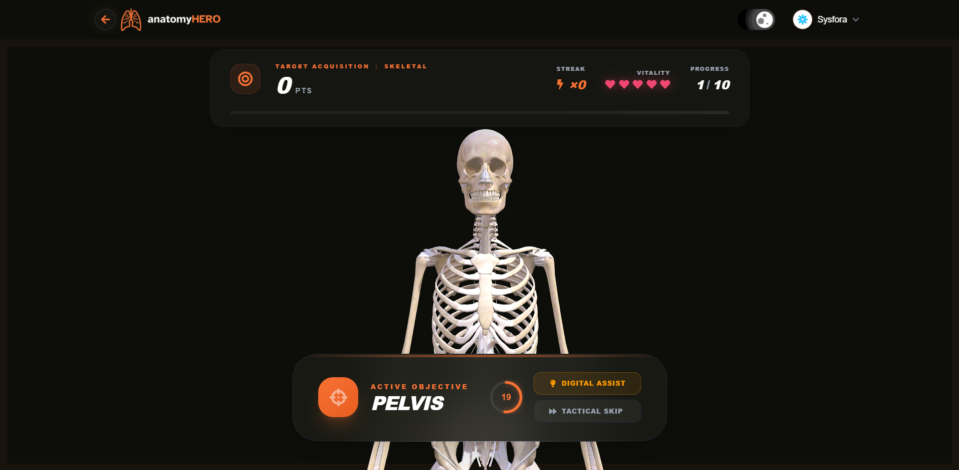 anatomyHERO gallery image