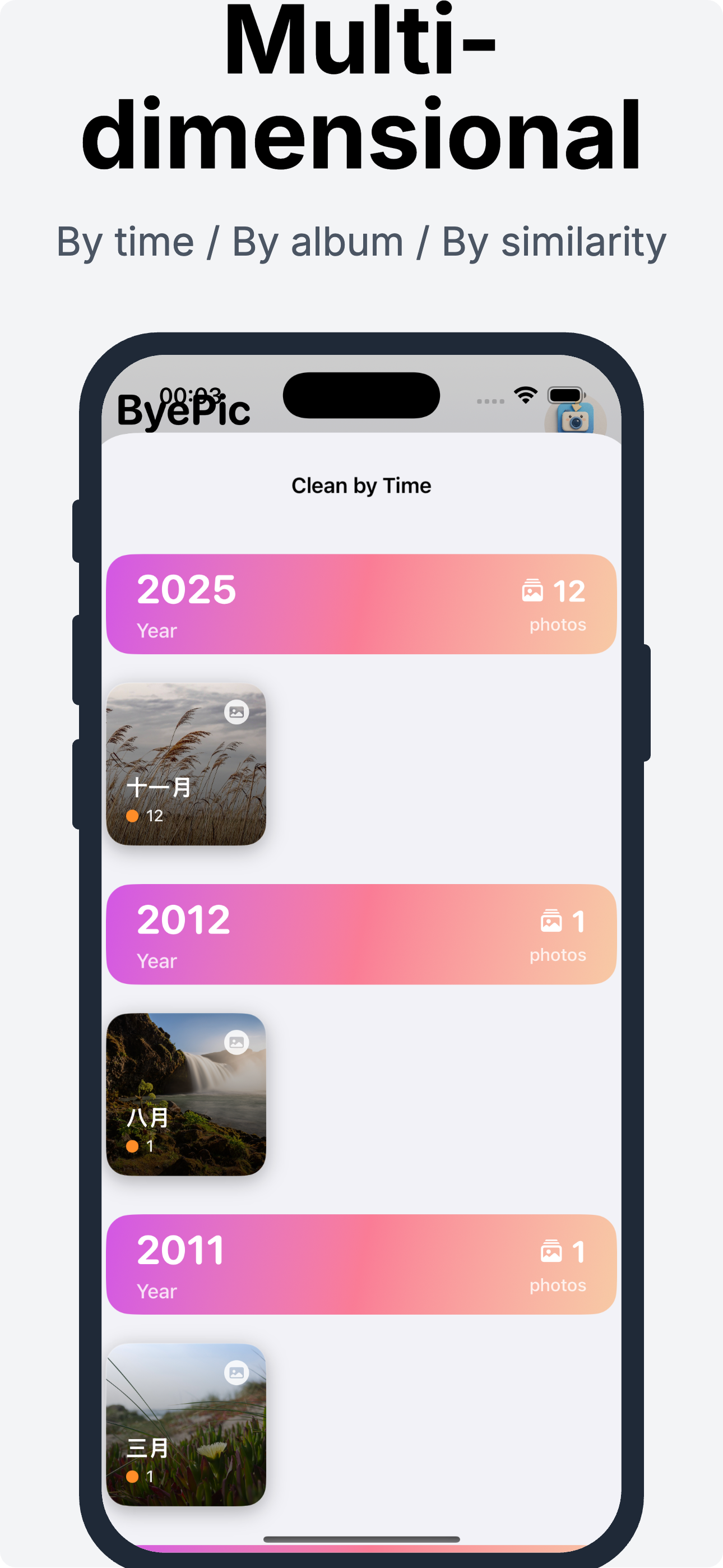 ByePic gallery image