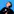 Seline Analytics
