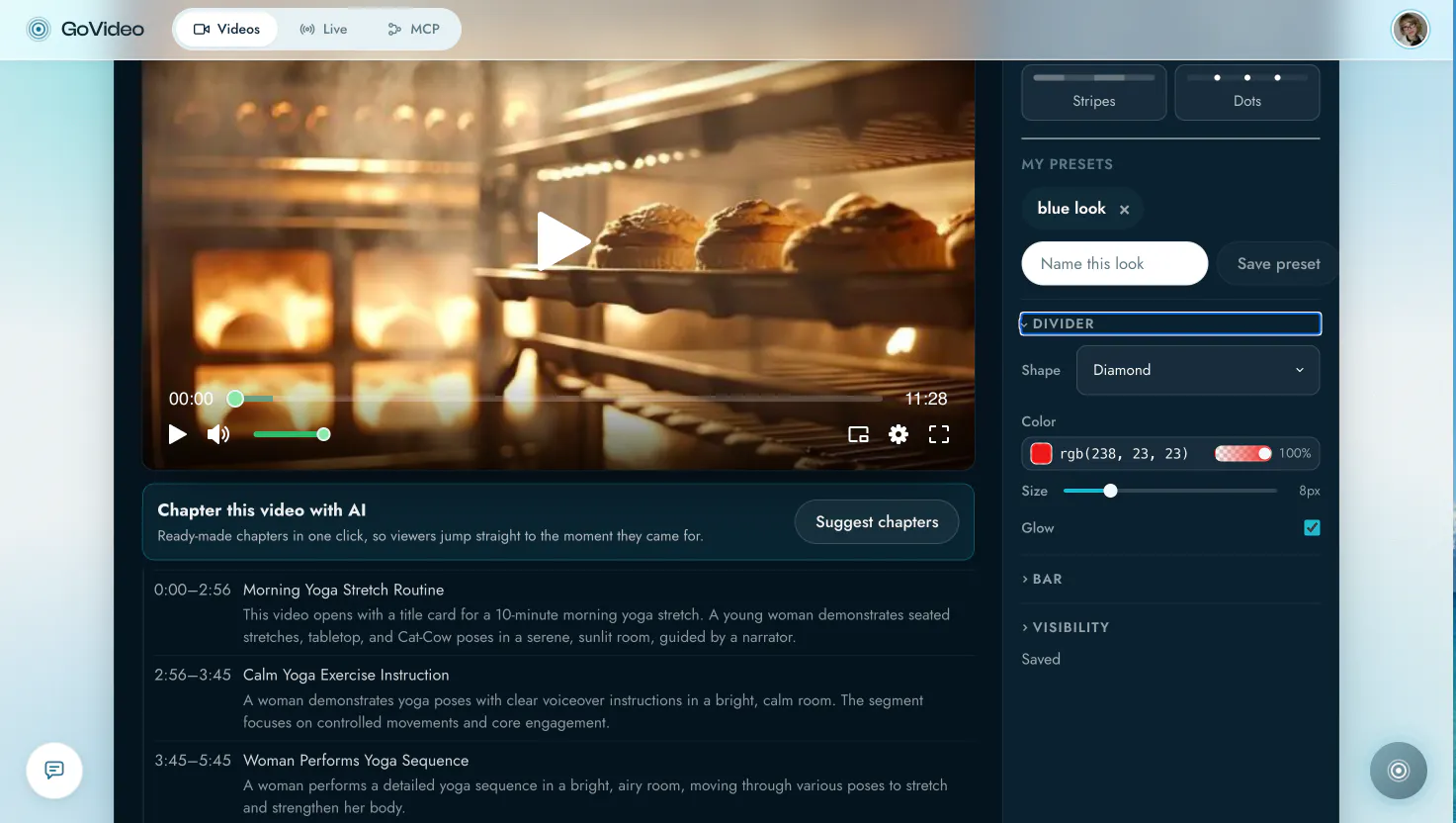 GoVideo gallery image