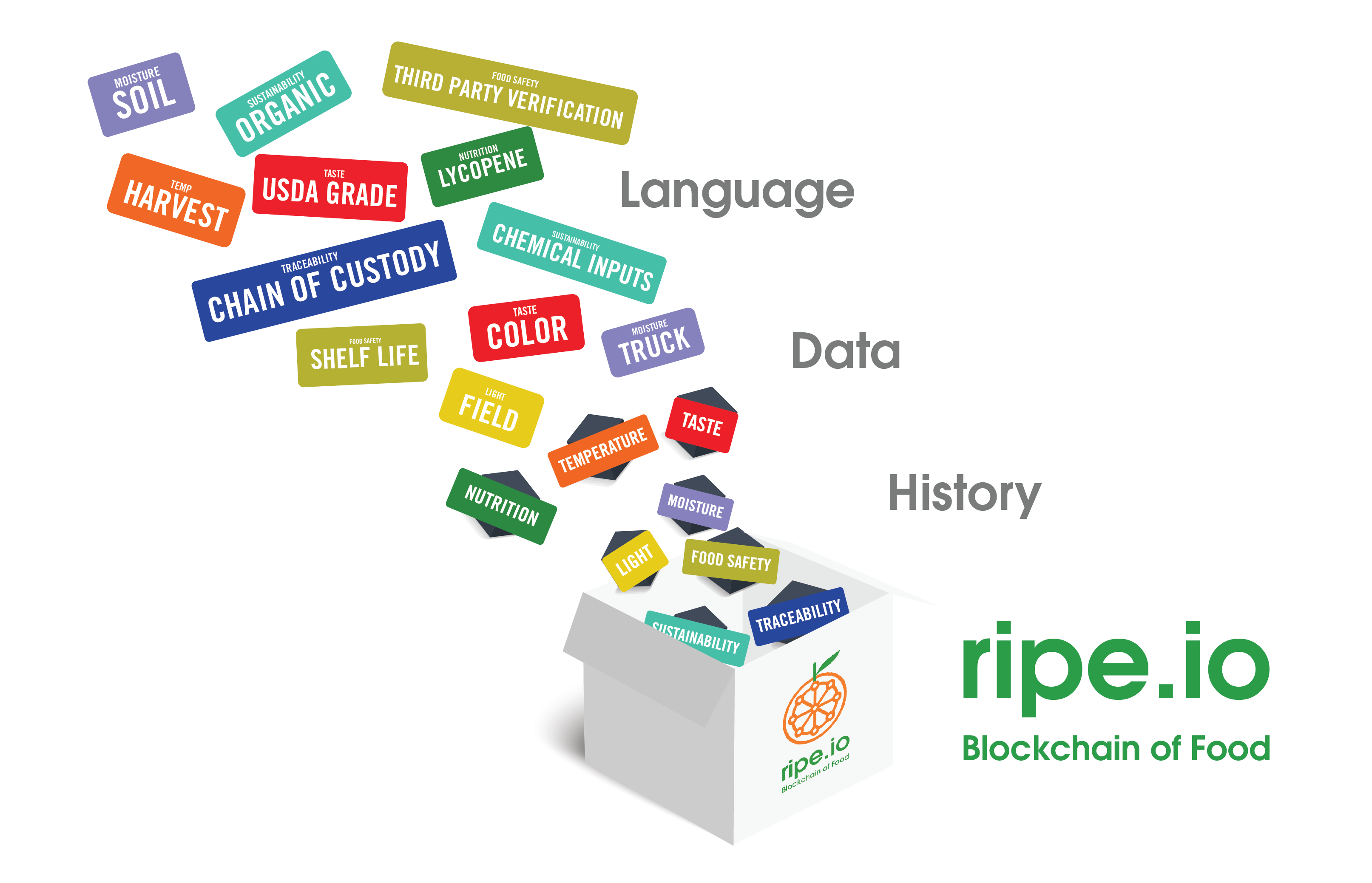ripe.io gallery image