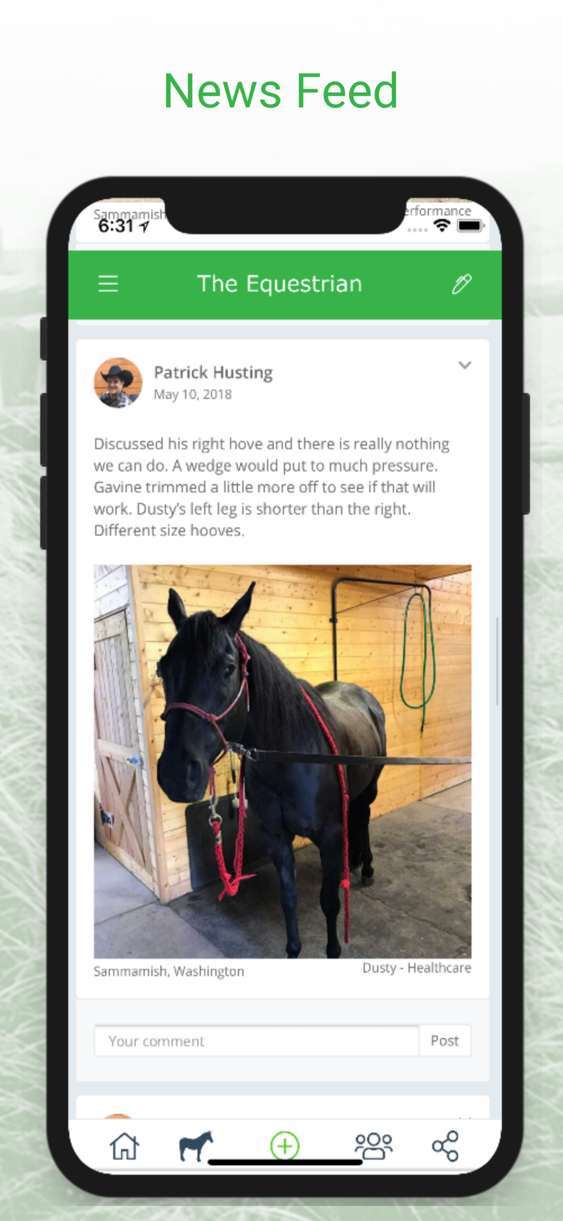 The Equestrian gallery image