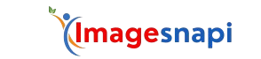 Imagesnapi