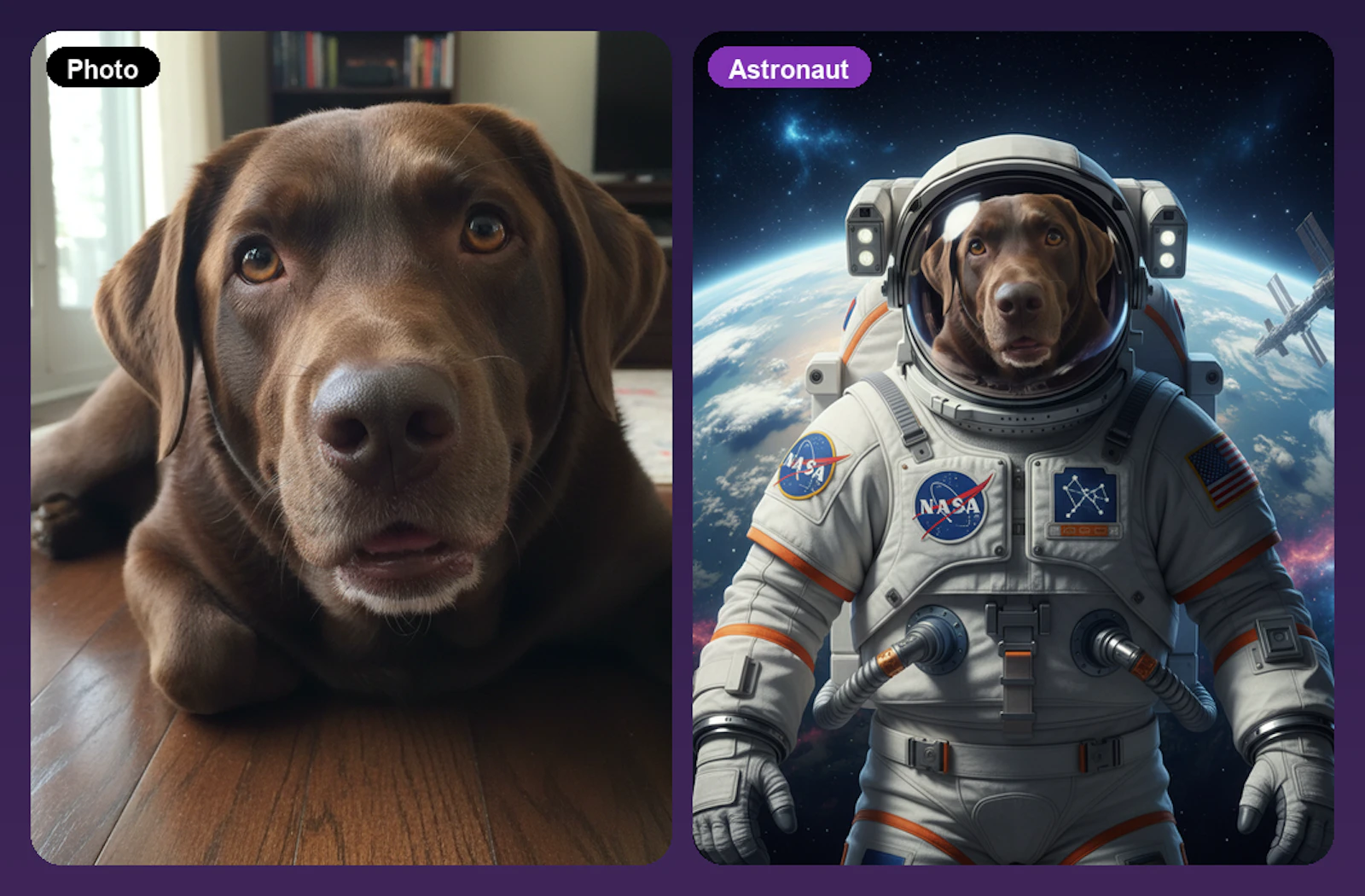 Ai Pet: Pet Face AI Photo screenshot 7