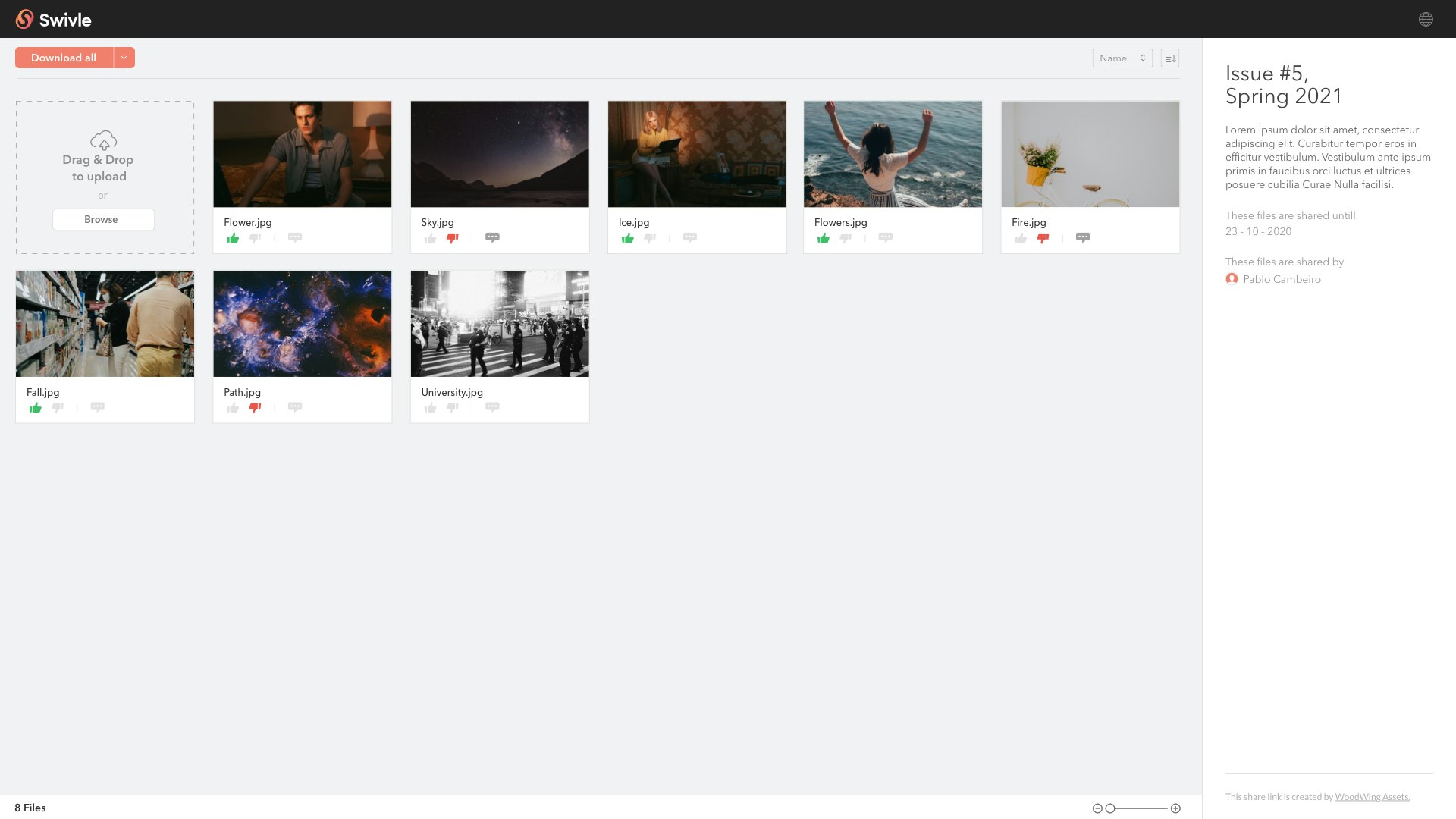 WoodWing Swivle gallery image