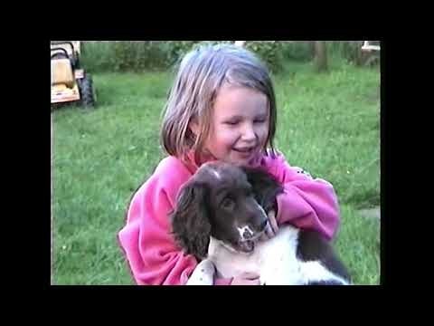 Aura Life gallery image